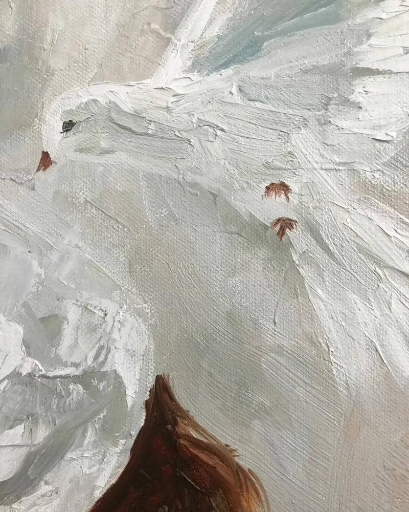 Голубка. Картина маслом 60×60 см — 60×60 см
