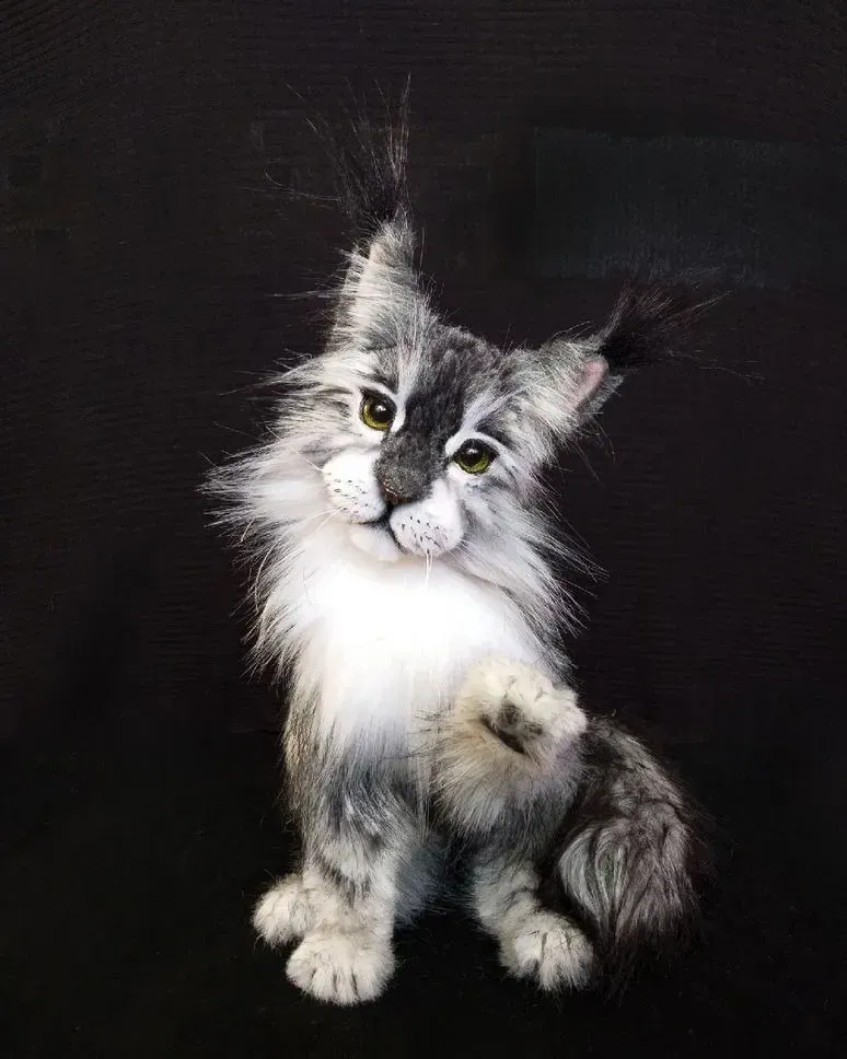 Котёнок мейн-кун тедди «Голубой мрамор»