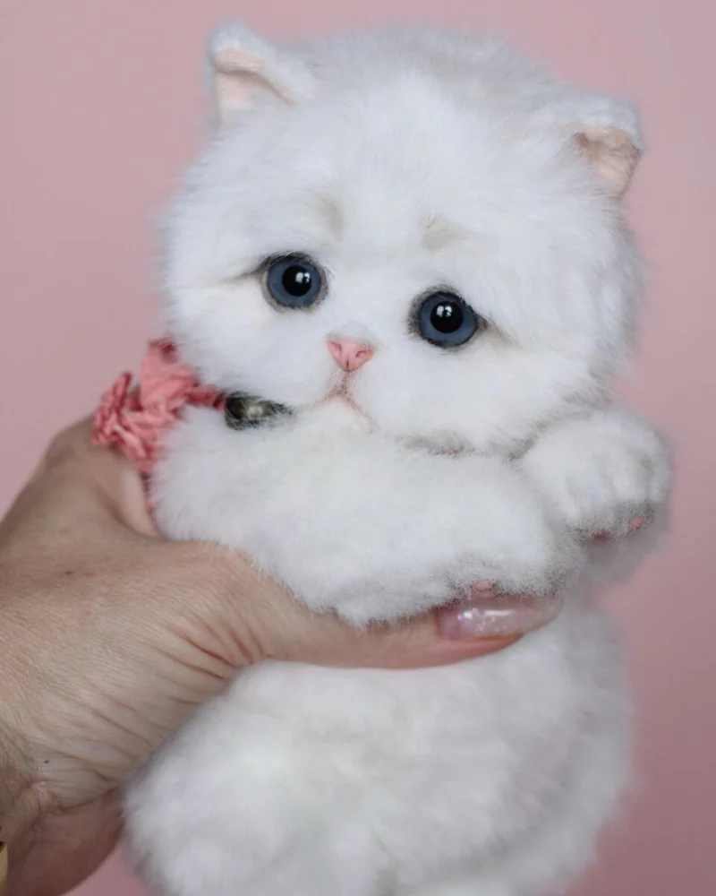 Котенок тедди 22 см, белый — Белый