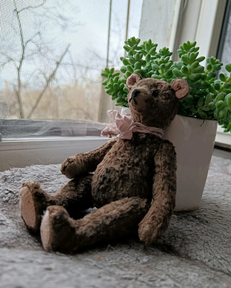 Медвежонок Тедди цвета какао