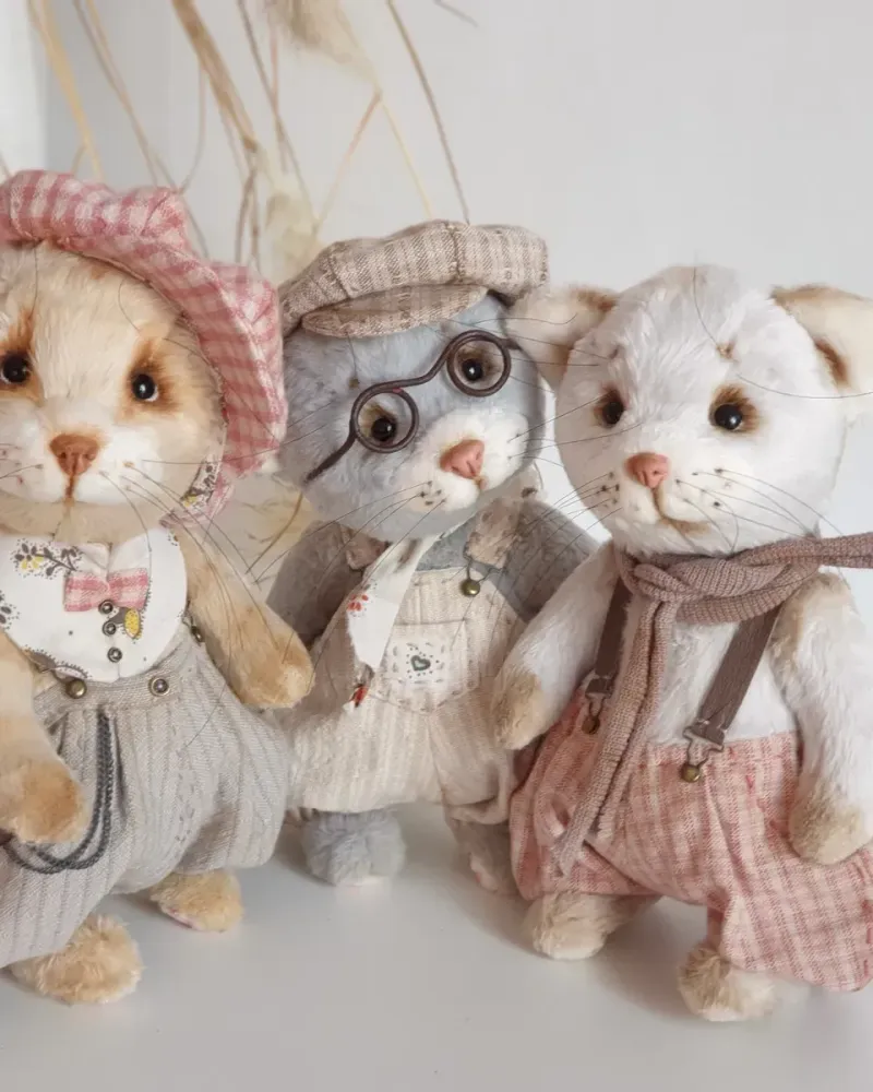 Котёнок Рани — Основной