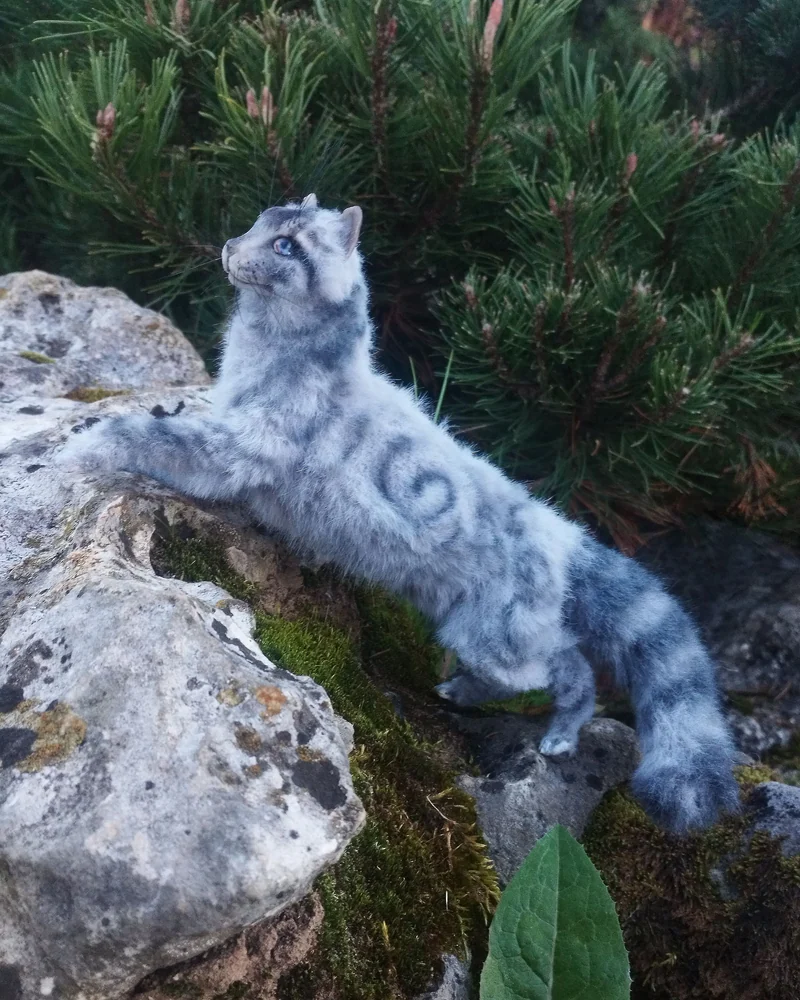 кот голубой шаман Перо Сойки