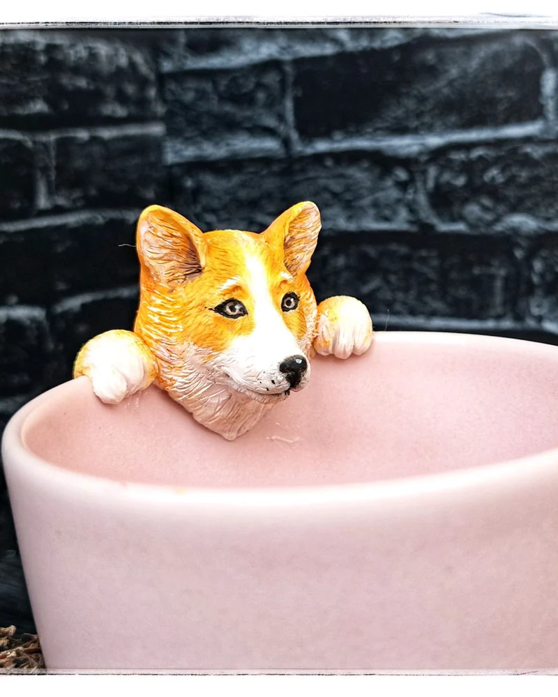 Кружка с корги