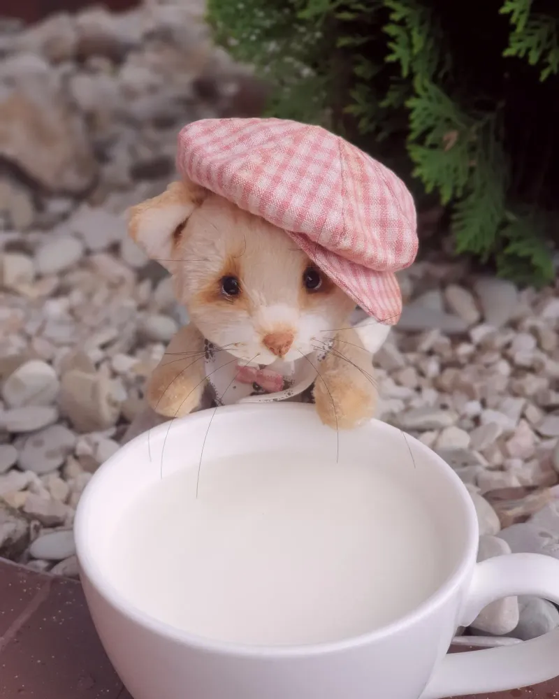 Котёнок Рани — Основной