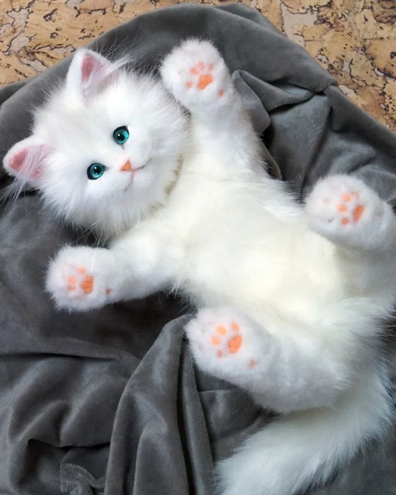 Белый котенок с голубыми глазами Реалистичная игрушка из меха