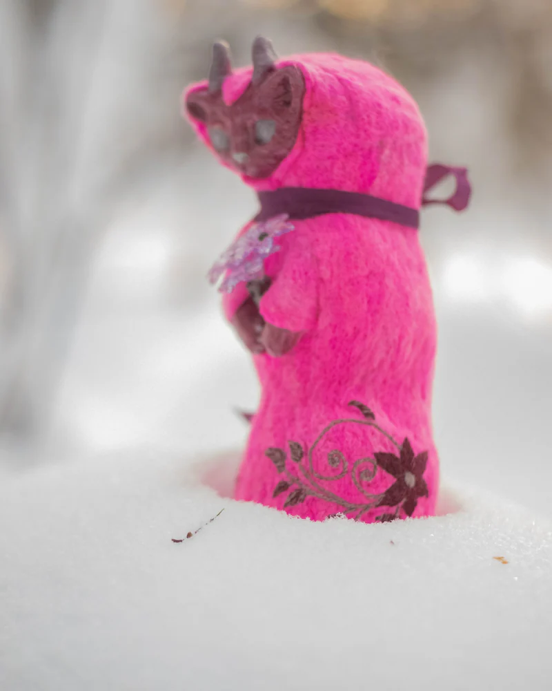 Кот Зимний цветок