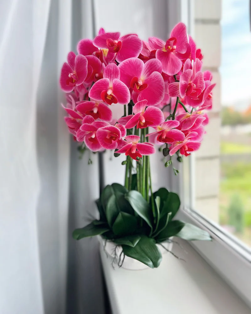 Композиция с орхидеями💗
