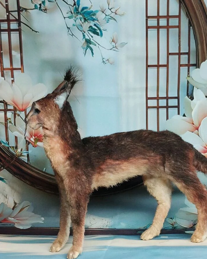 Каракал, фигурка 1:6 для куклы — Каракал, фигурка 1:6 для куклы