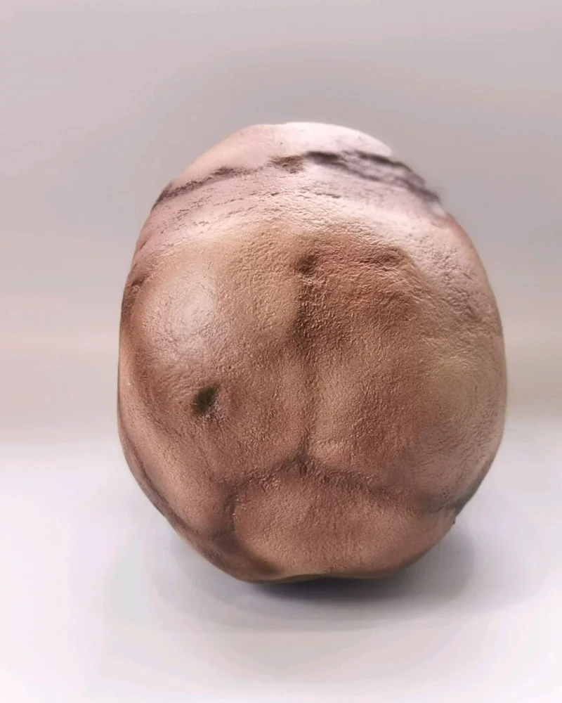 Реплика черепа Homo neanderthalensis (Le Moustier 1)