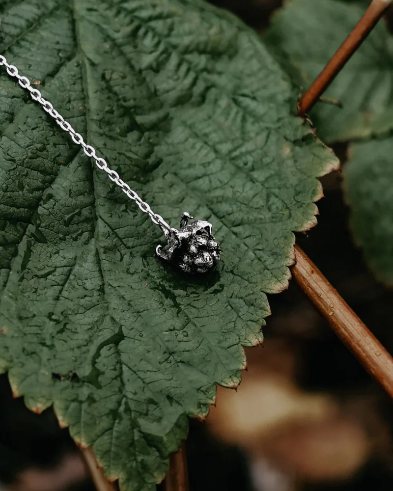 Сережки Малина — Сережки Малина