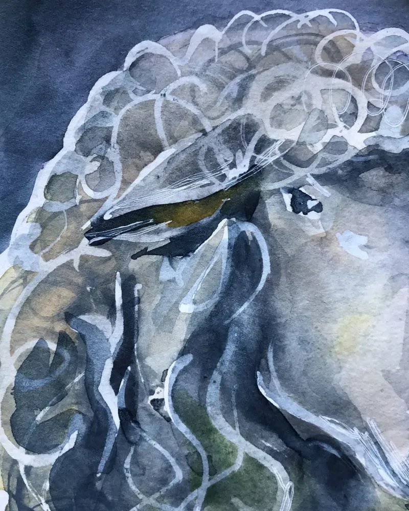 Девочка и овечка. Акварель 18×18 см — 18×18 см