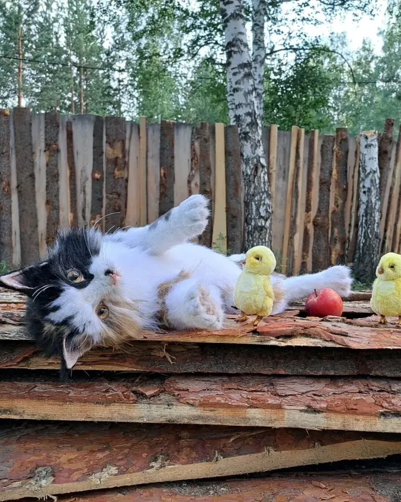 Реалистичная кошка Женька с цыплятами, трёхцветная