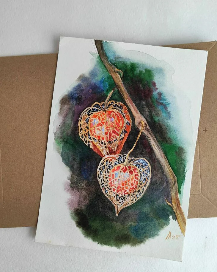 Картина с физалисом акварель 14,9 × 21 см