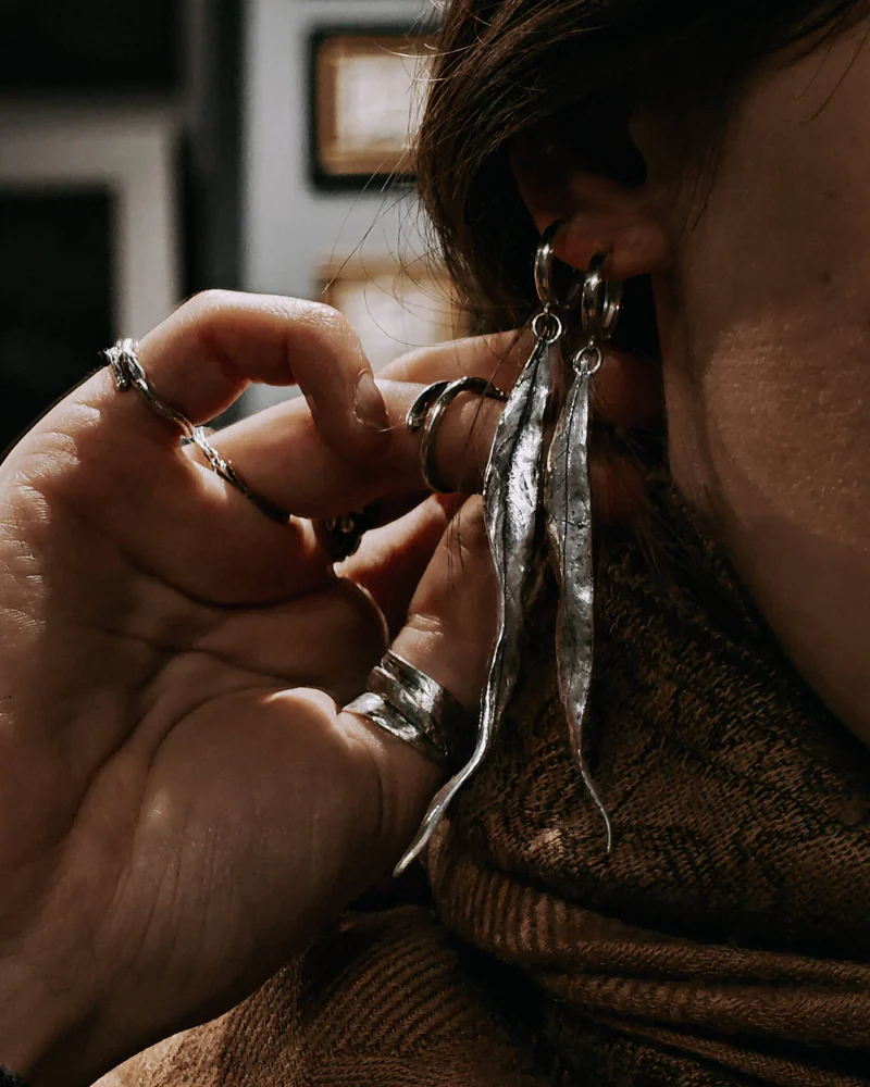 Сережки Ива — Сережки Ива