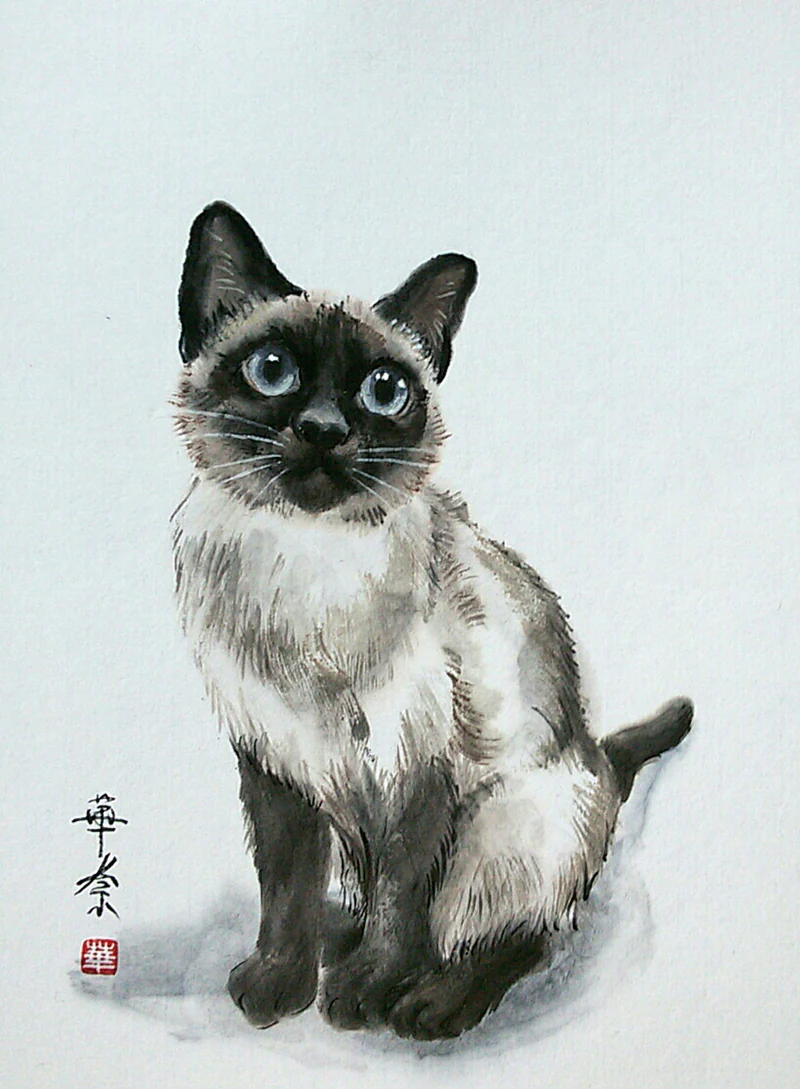 Картина Тайская кошка, 21x30 кот сиамский