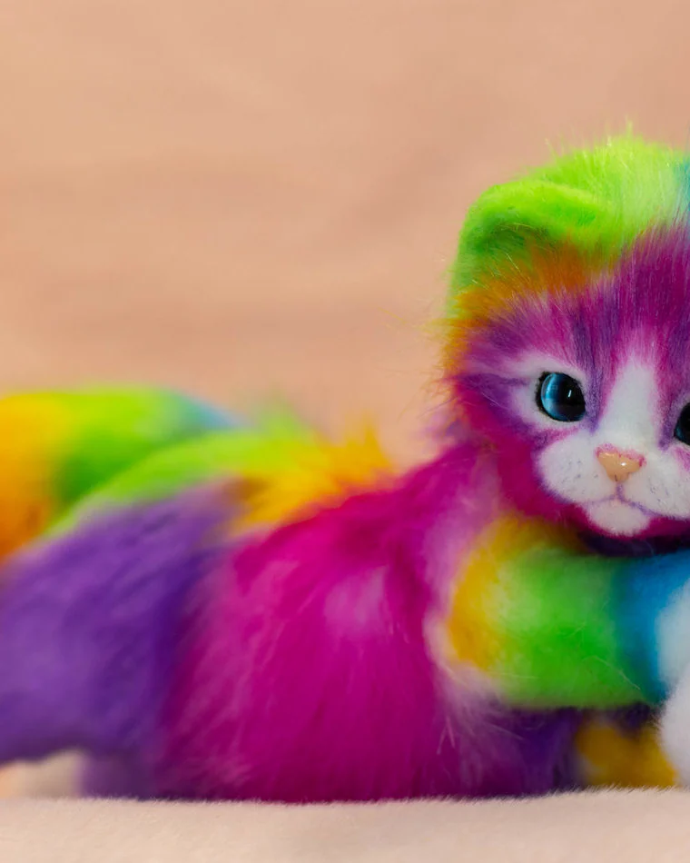 Радужная кошка