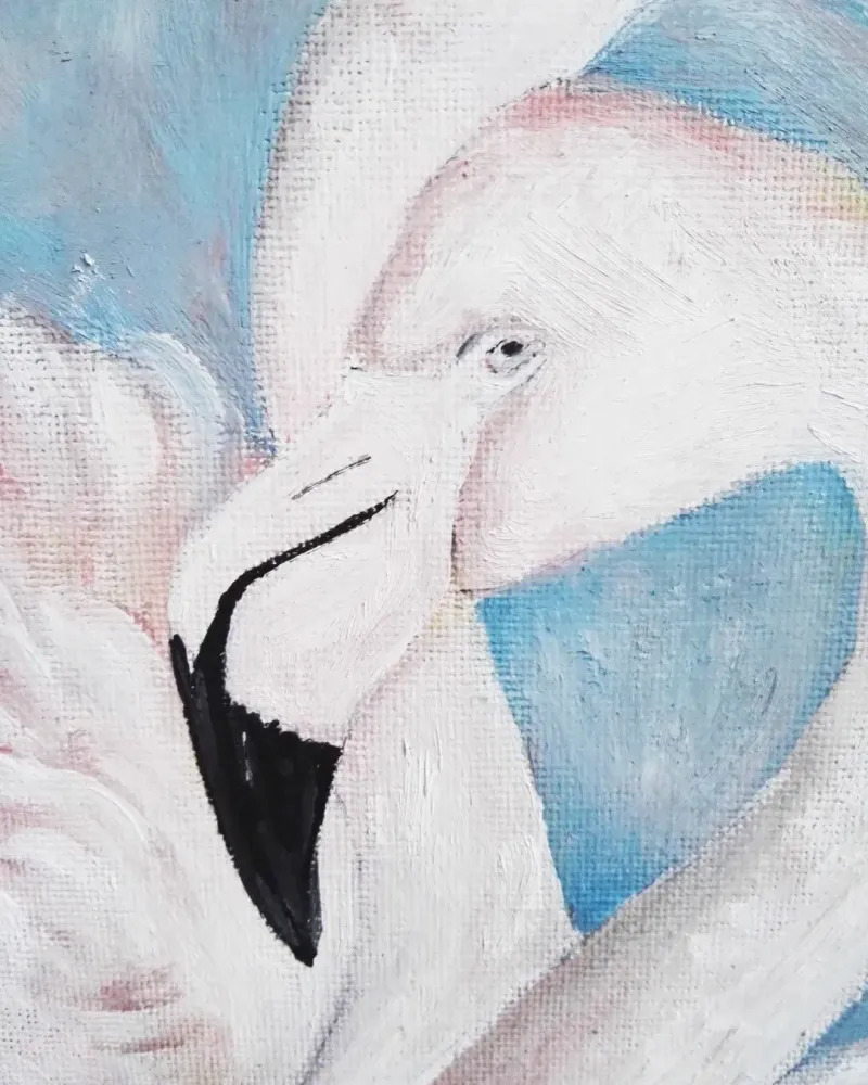 Фламинго. Картина маслом 20×20 см — 20×20 см
