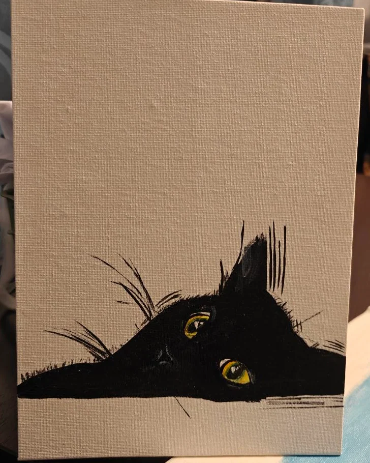 Котик-Апатик — Черный котик