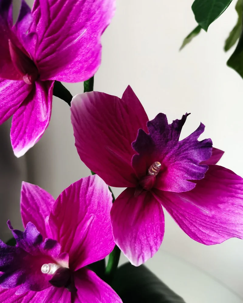 Ночник орхидеи «Violet», фиолетовый