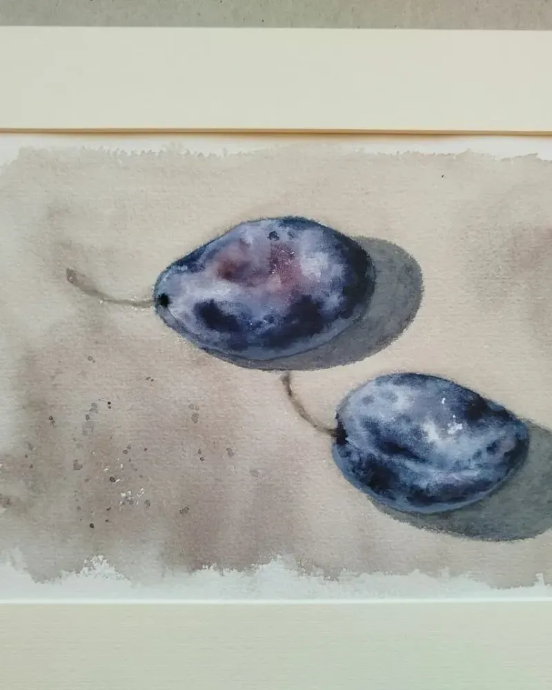 Сливы. Натюрморт акварелью — 15×21 см