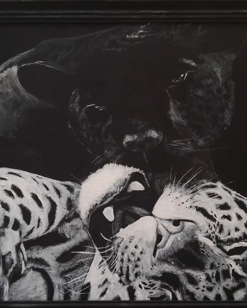 Кошки. Картина акрилом 50×40 см — 50×40 см