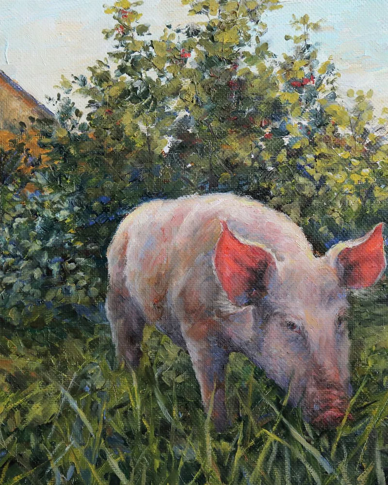 Хрюня на прогулке. Холст, масло. 45х50 см. 2017 г