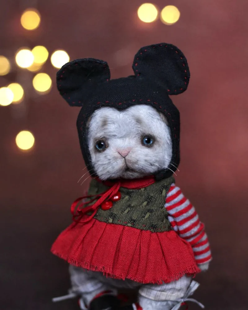 Котенок тедди — Основной