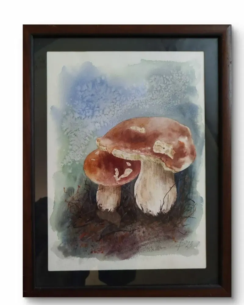 Грибы. Картина акварелью в раме — 26×35 см, в раме
