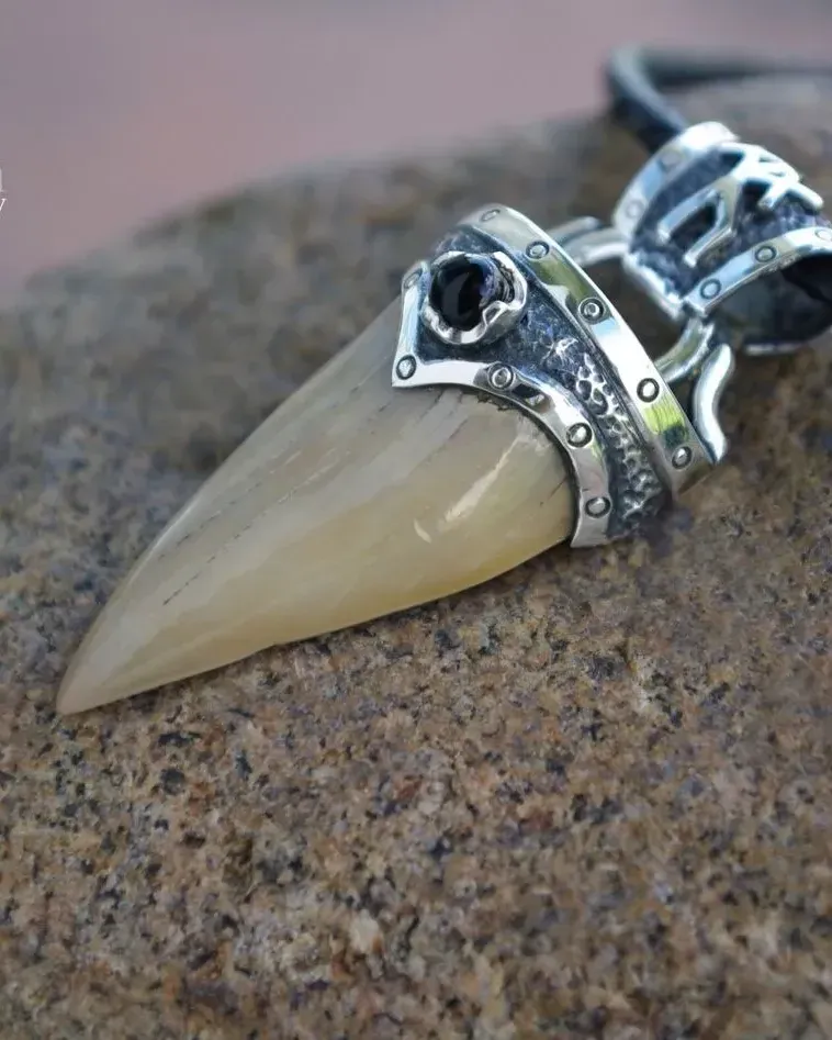Окаменелый зуб ископаемого Carcharodon carcharias — Основной