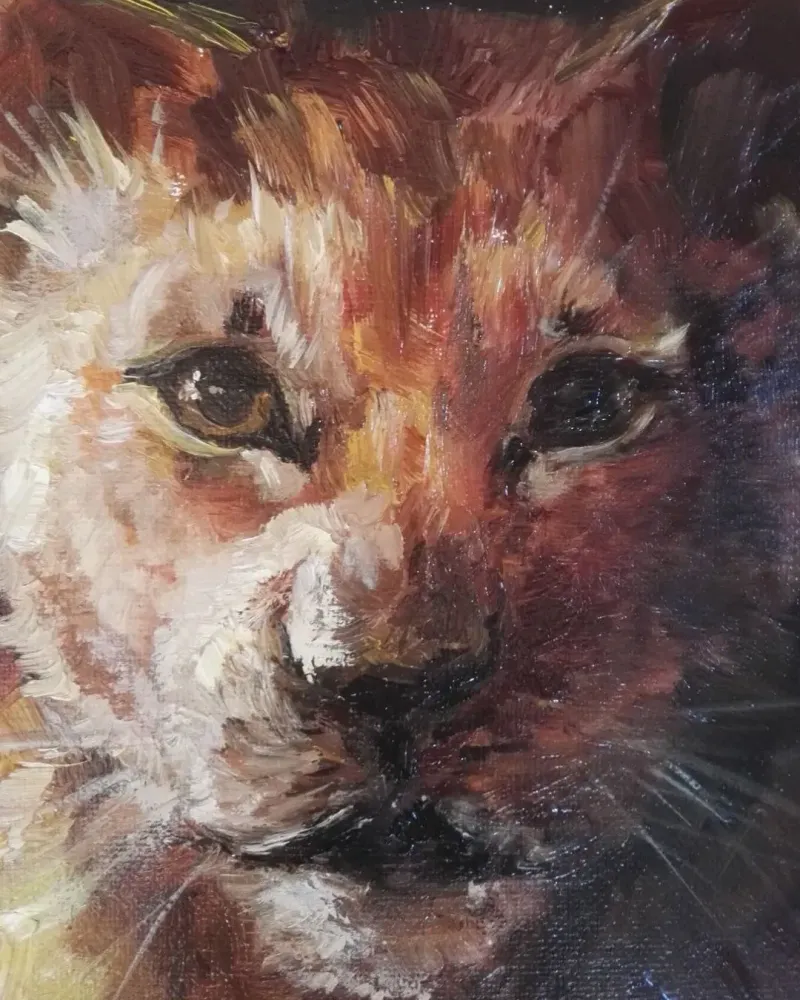Львенок. Картина маслом 30×40 см — 30×40 см