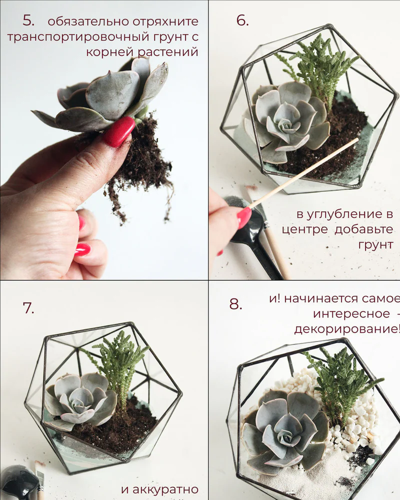 Флорариум, Набор для самостоятельной сборки флорариума, Озеро — Основной