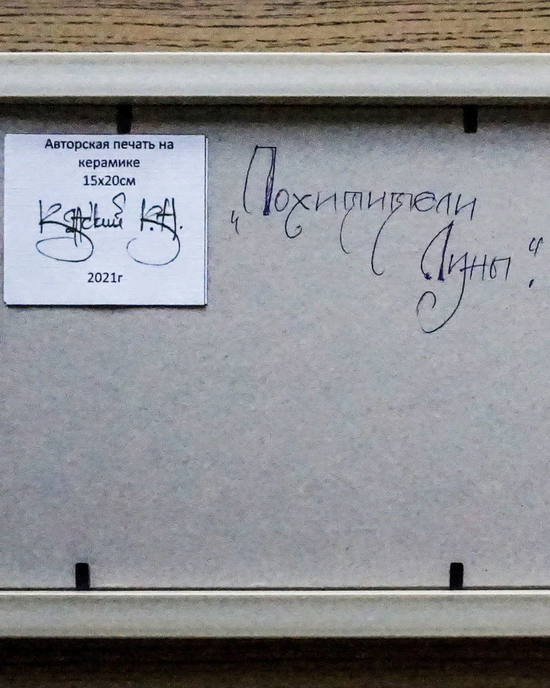 Сублимация "Похитители луны"