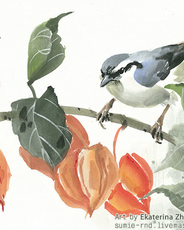 Картина Физалис и поползень 24x27 лето