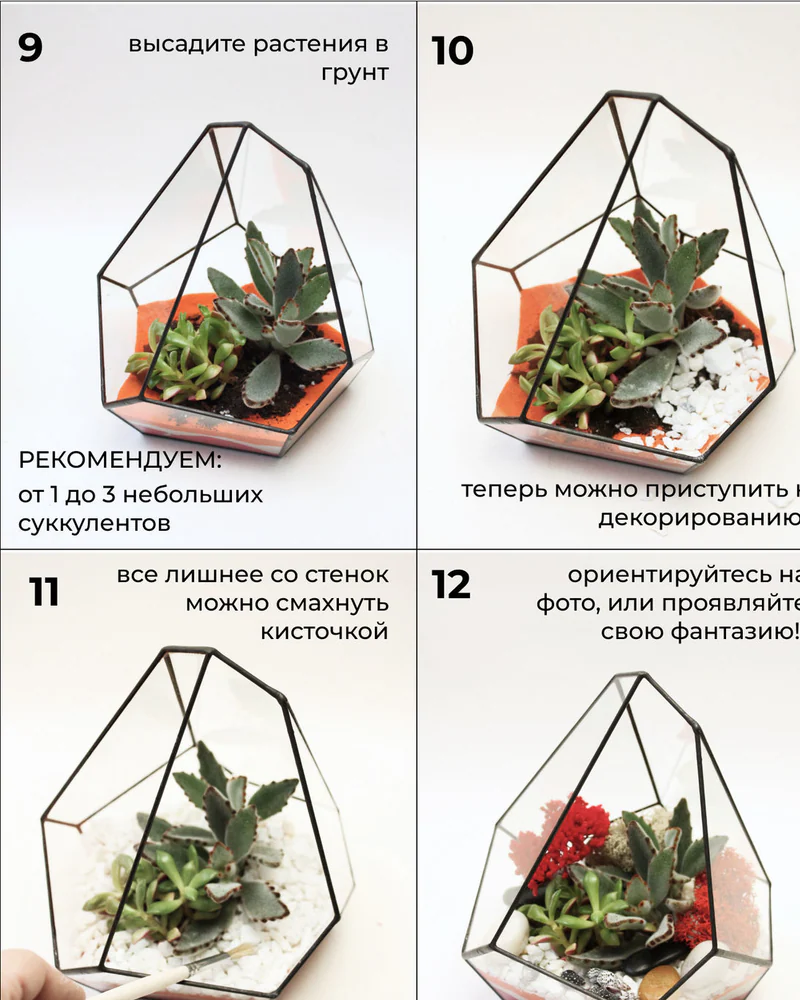 Флорариум, Набор для самостоятельной сборки флорариума Планта — Основной
