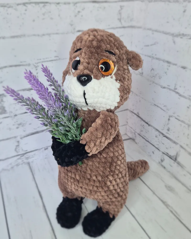 Выдрёныш — коричневый с белым