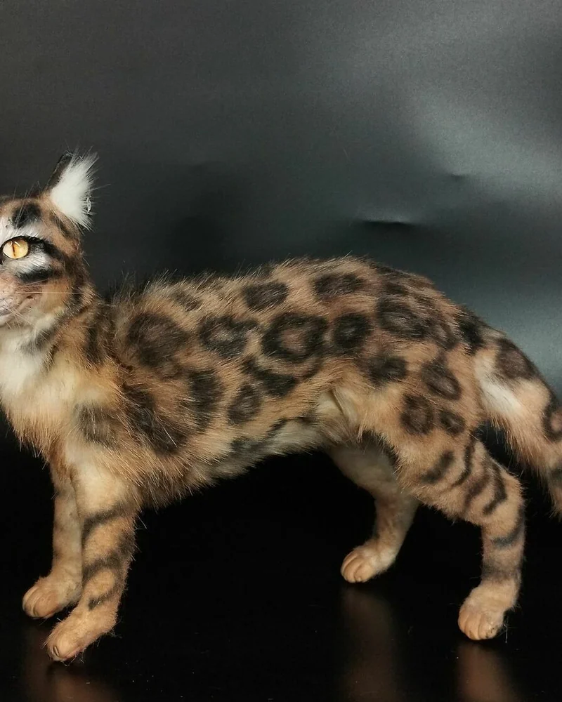 Кот бенгальский, коллекционная игрушка — Кот бенгальский, коллекционная игрушка
