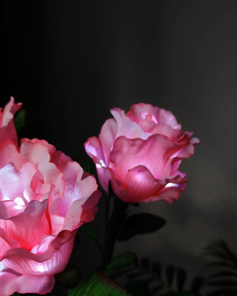 Букет-ночник из 3 роз «Pink», розовый