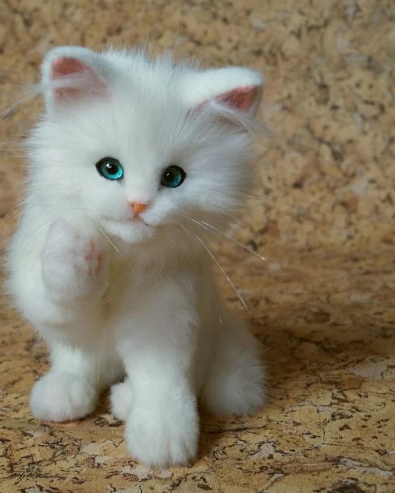 Белый котенок с голубыми глазами Реалистичная игрушка из меха