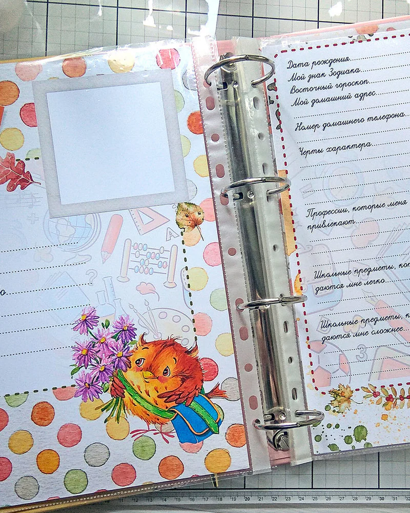 Портфолио для школьника