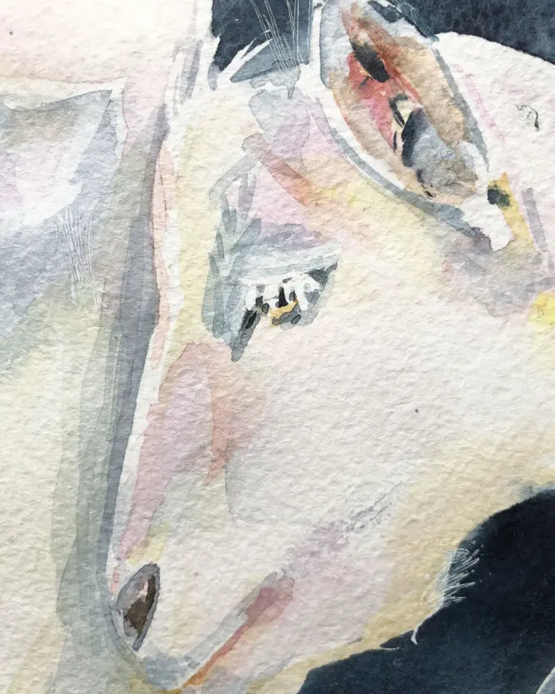 Козочки. Акварель 20×20 см — 20×20 см