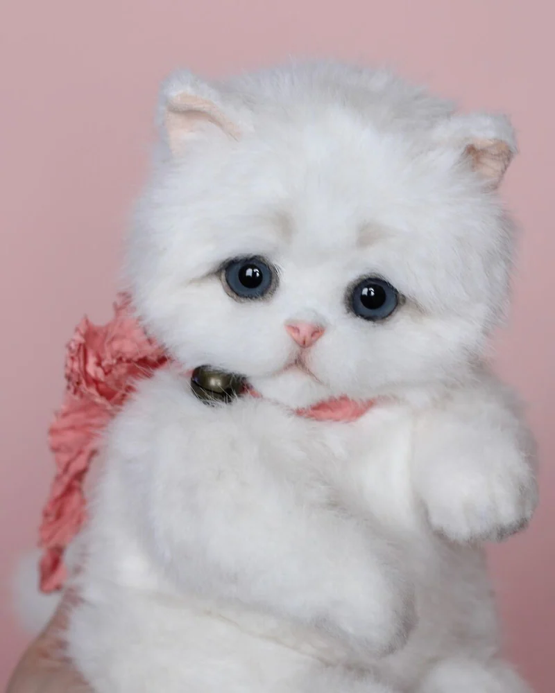 Котенок тедди 22 см, белый — Белый