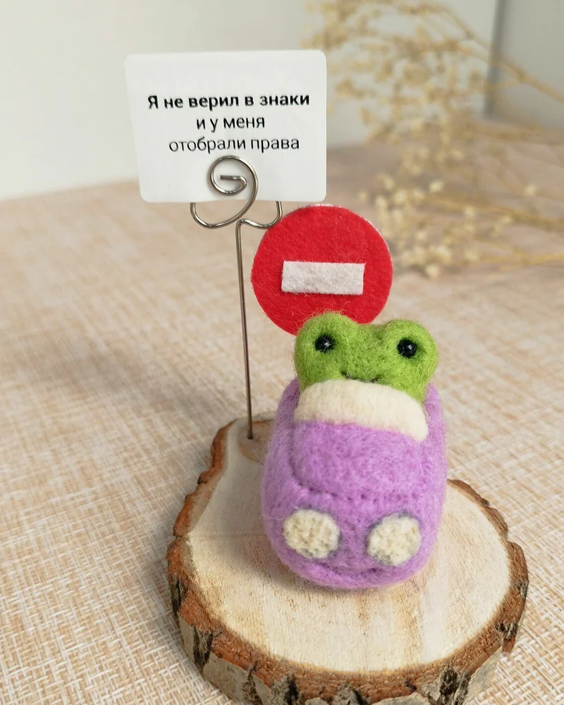 Валяная игрушка Лягушка в машине, Войлочная Игрушка из шерсти