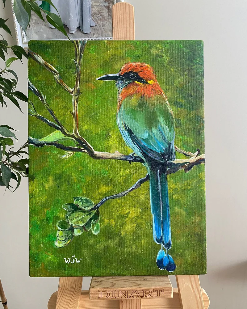 Картина маслом Экзотические птицы. Motmot. 30×40 см — Оригинал