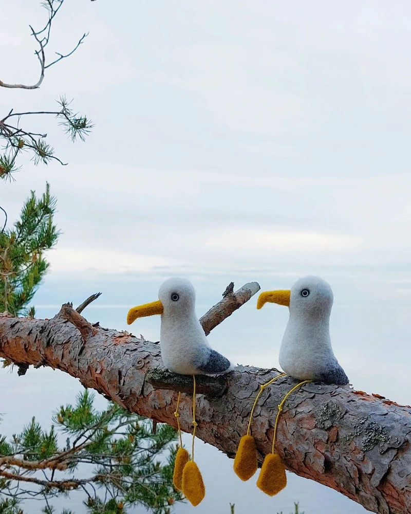 Чайка