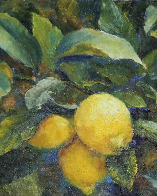 Лимоны. Картина маслом