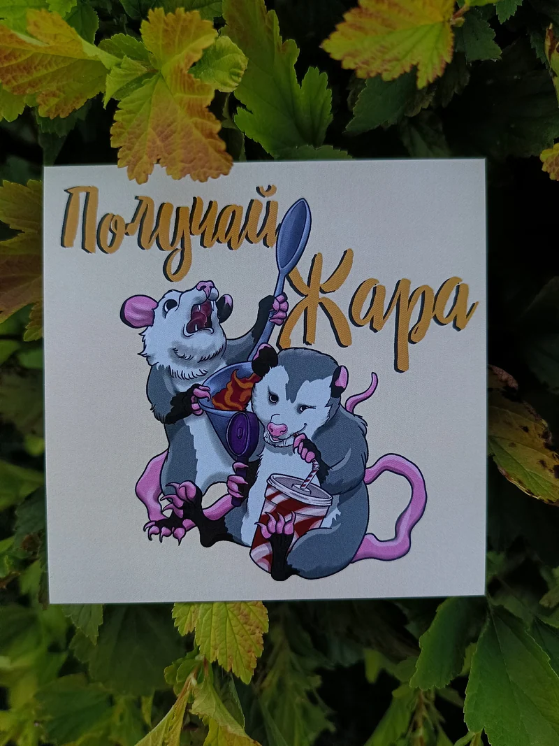 Опоссум "Получай жара"