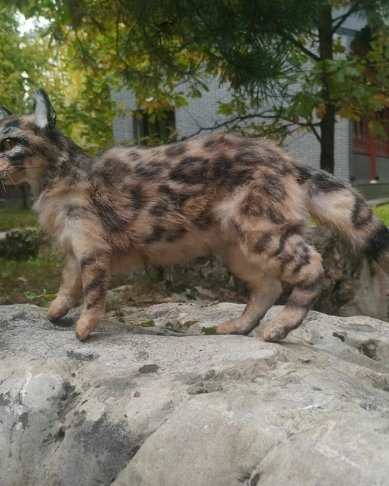 Кот бенгальский, коллекционная игрушка — Кот бенгальский, коллекционная игрушка