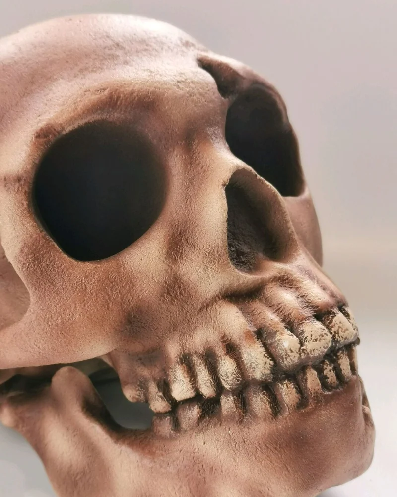 Реплика черепа Homo neanderthalensis (Le Moustier 1)