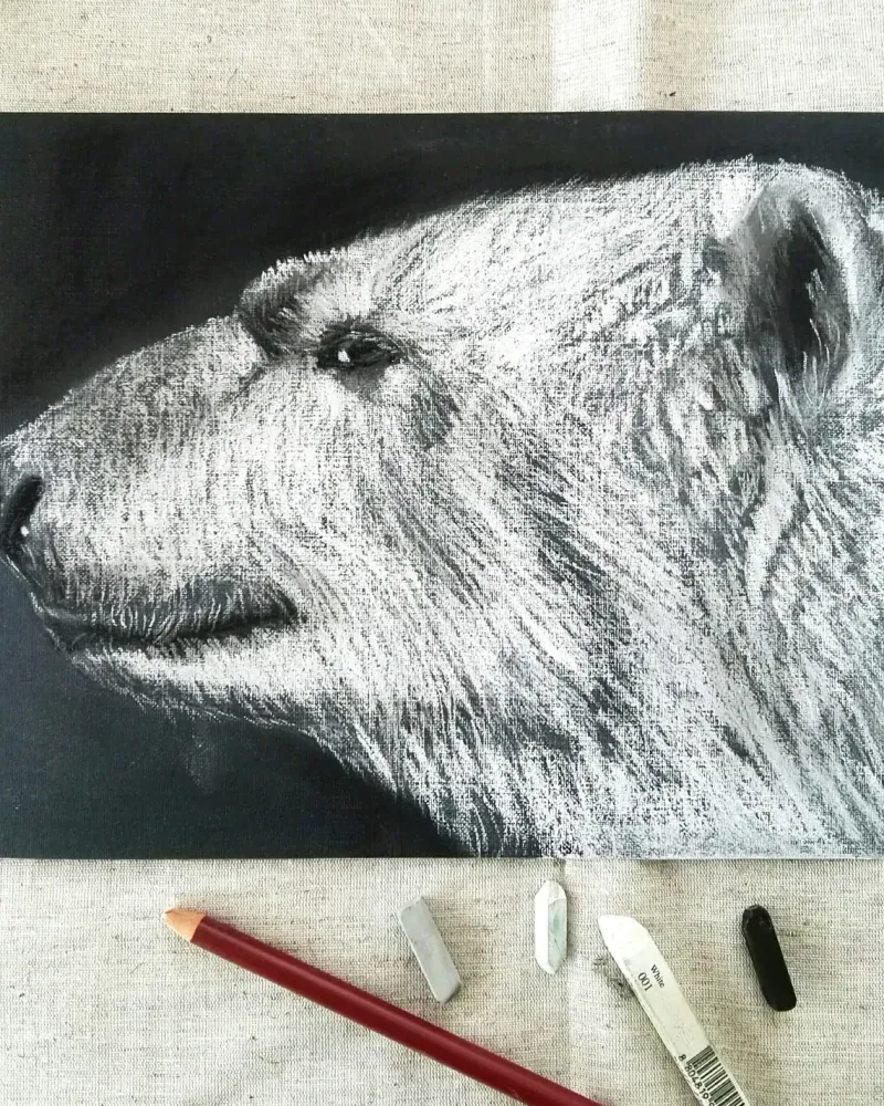 Медведь. Картина пастелью 21×29,7 см — 21×29,7 см