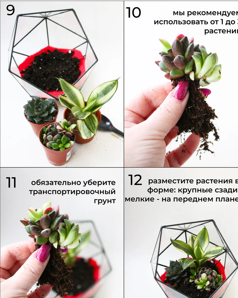 Флорариум, Набор для самостоятельной сборки флорариума Синий — Основной